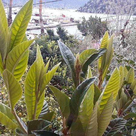 Hotel Cennet Pansiyon Kaleucagız Exterior foto
