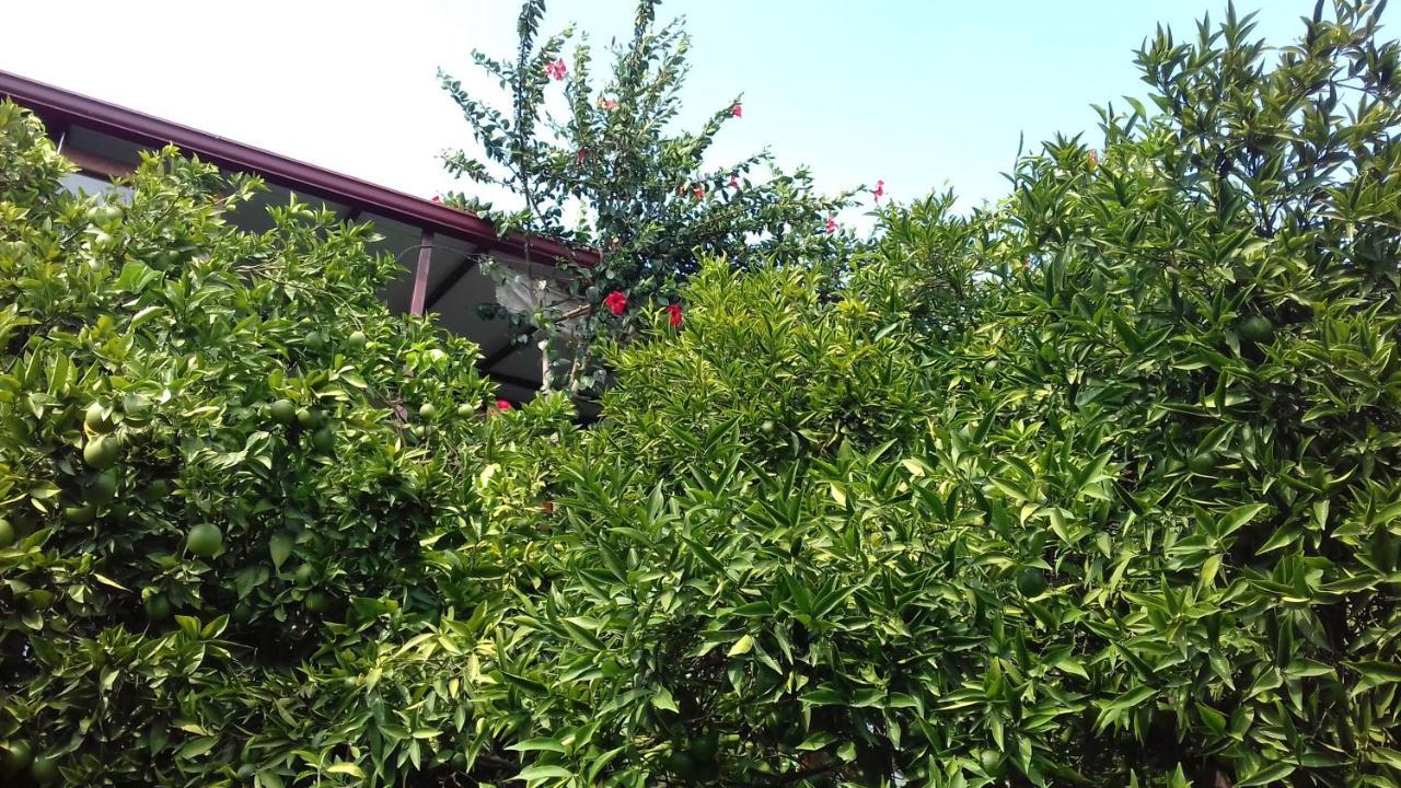 Hotel Cennet Pansiyon Kaleucagız Exterior foto