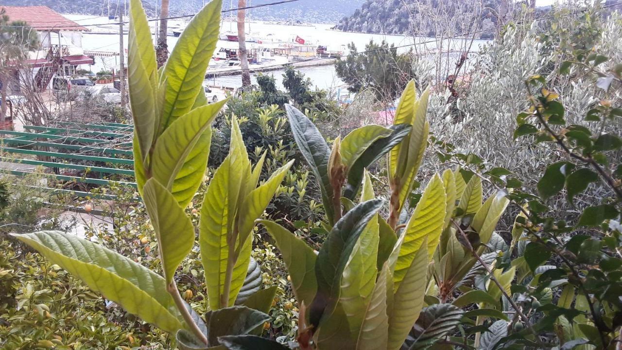 Hotel Cennet Pansiyon Kaleucagız Exterior foto
